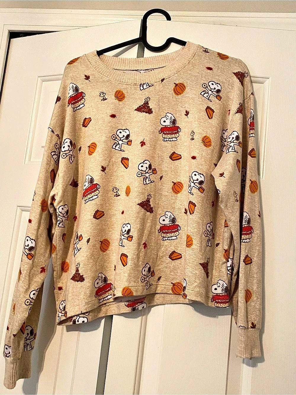 American Eagle AE Lounge Snoopy Thanksgiving Print Crewneck Sweater Small